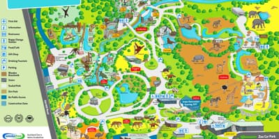 Зураг Окленд zoo